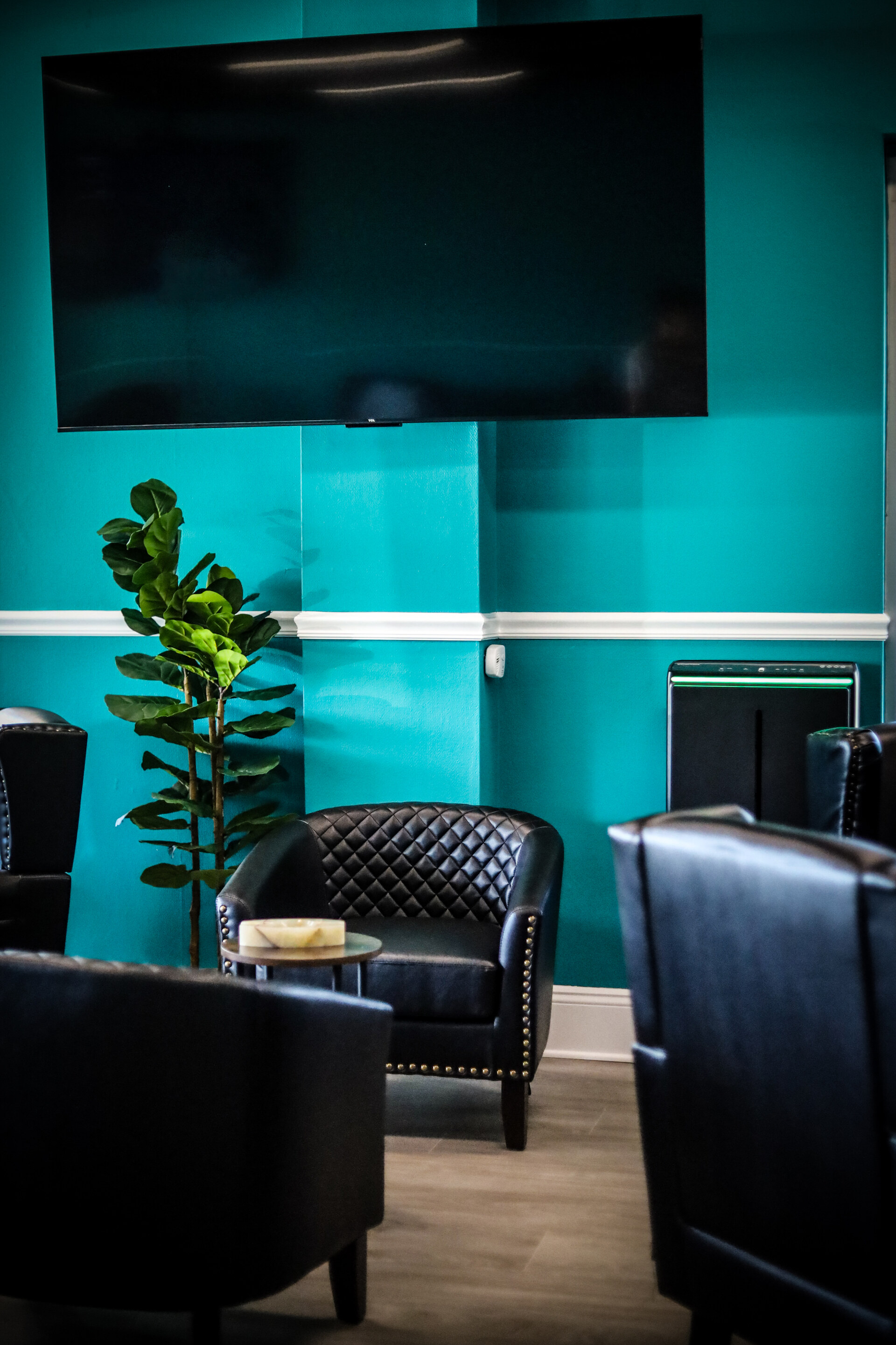 Leather lounge seating beneath a television on Coastal's aqua wall